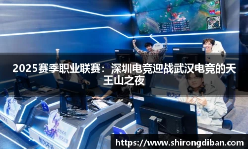 2025赛季职业联赛：深圳电竞迎战武汉电竞的天王山之夜