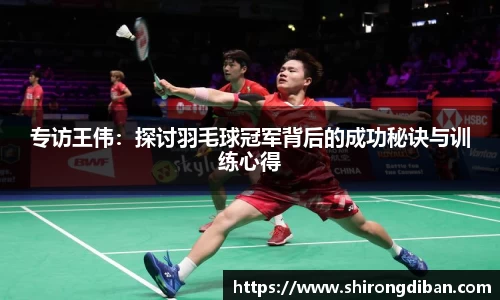专访王伟：探讨羽毛球冠军背后的成功秘诀与训练心得